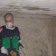 Saunan kalkitus 2001