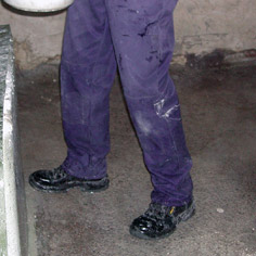 Saunan kalkitus 2001
