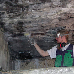 Saunan kalkitus 2001